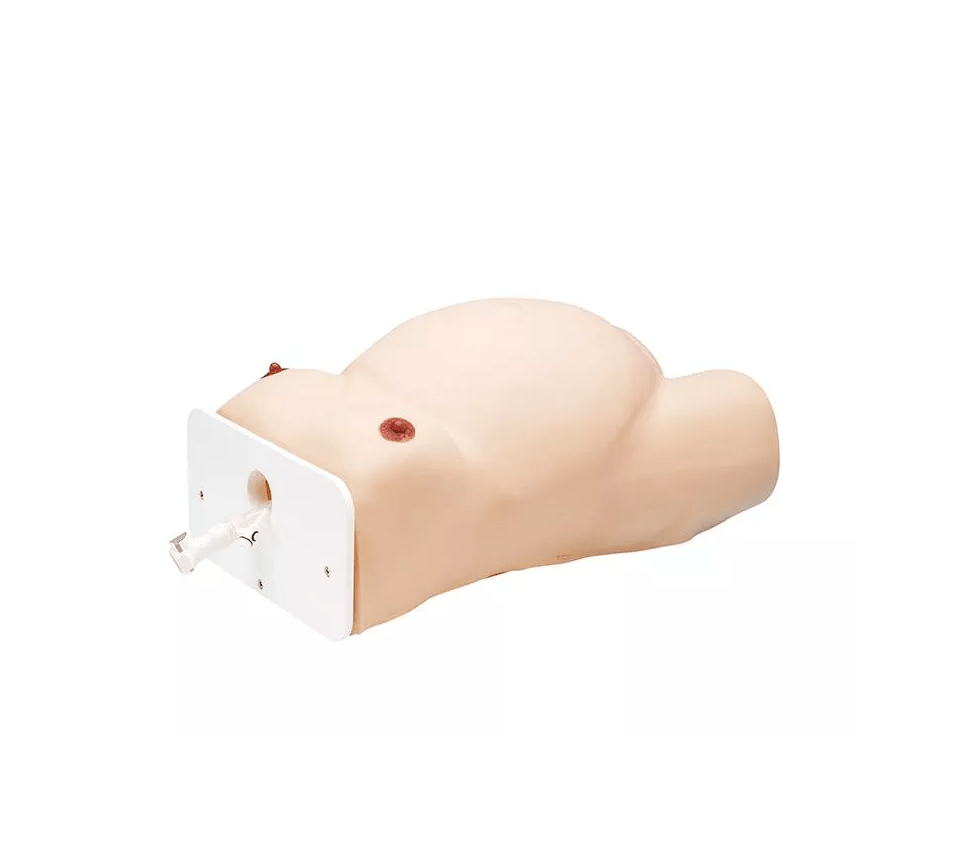 Übungsmodell Äußere Wendung - Erler - Zimmer